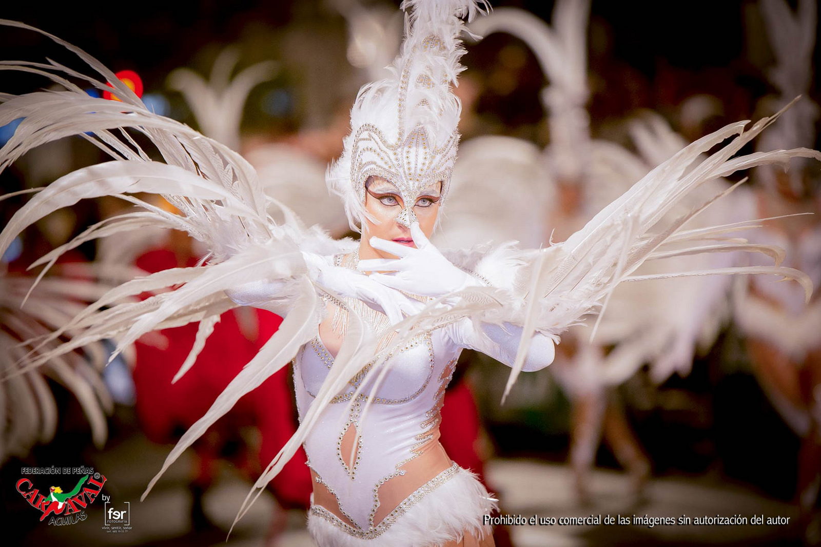 Carnaval de verano 2018