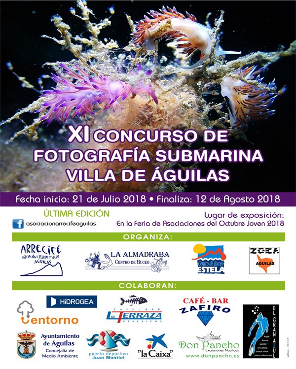 Xi concurso de fotografia submarina villa de aguilas